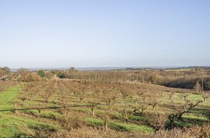 Photo 16- click for photo gallery